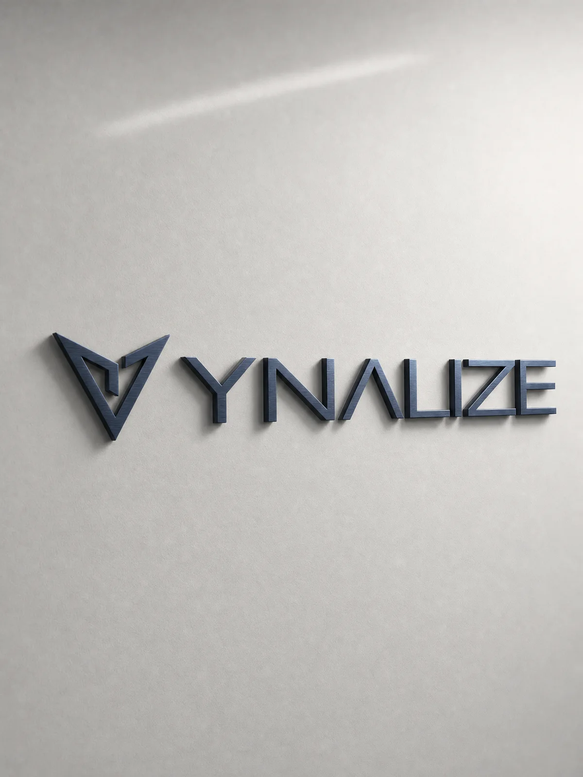 תוצר גרפי של YNALIZE