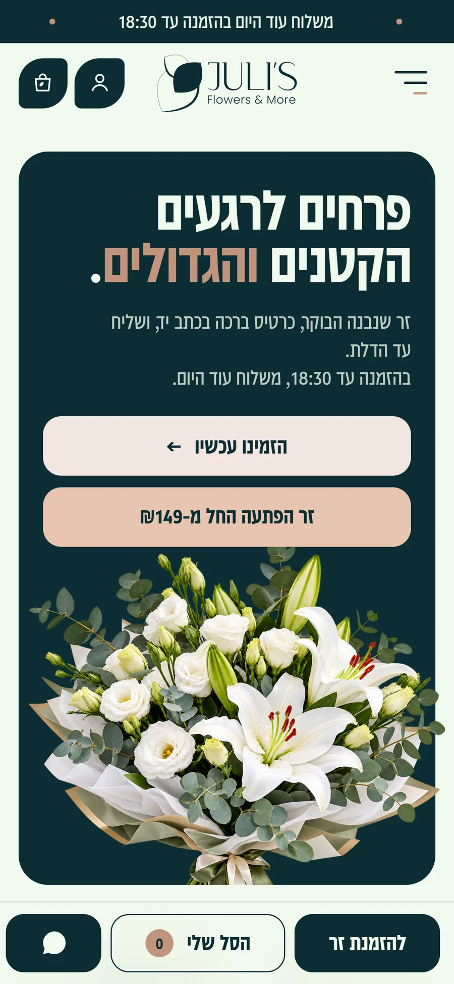 דף הבית בטלפון