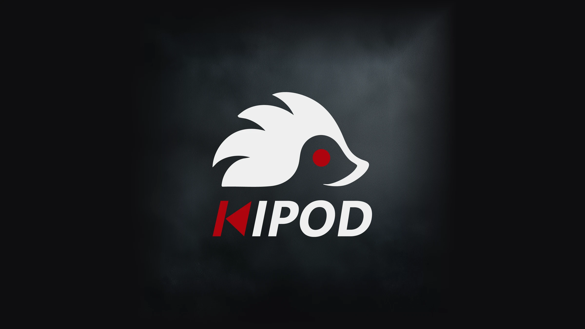 המיתוג של KIPOD
