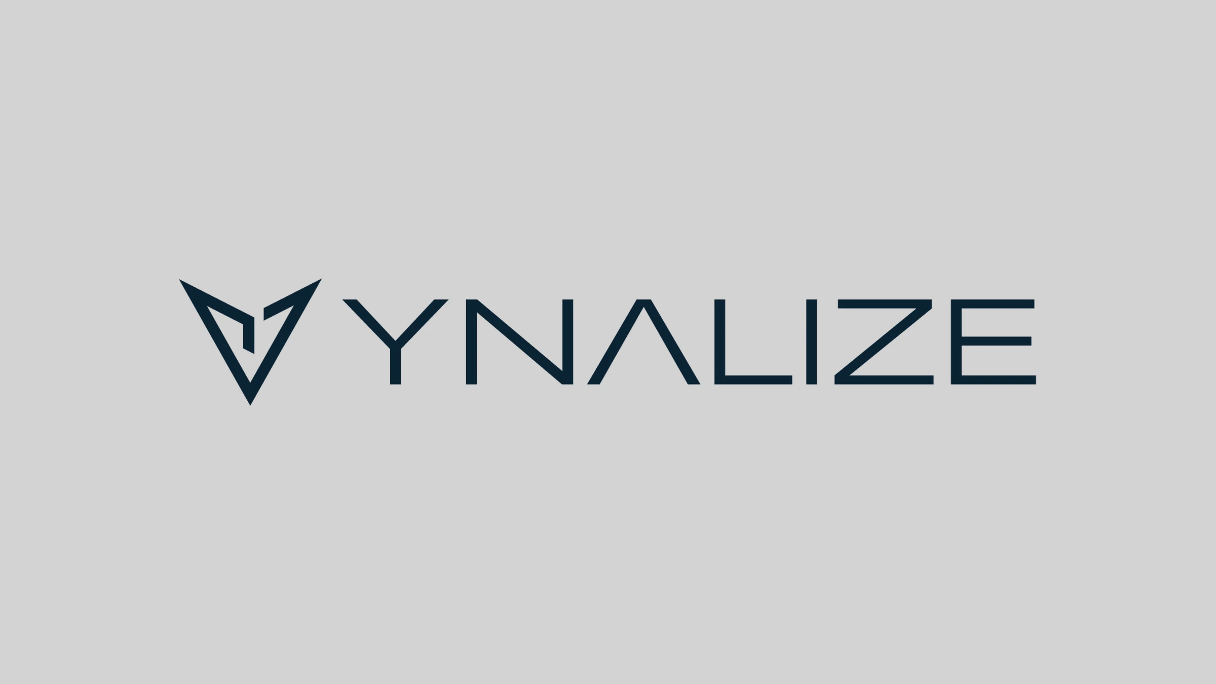 המיתוג של YNALIZE